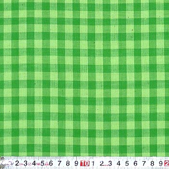 インド綿先染めチェック グリーン系 55*50