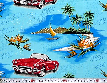 赤いスポーツカーと海辺 110*80