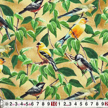 小枝に留まるカラフルな小鳥 オールオーバー/ベージュ