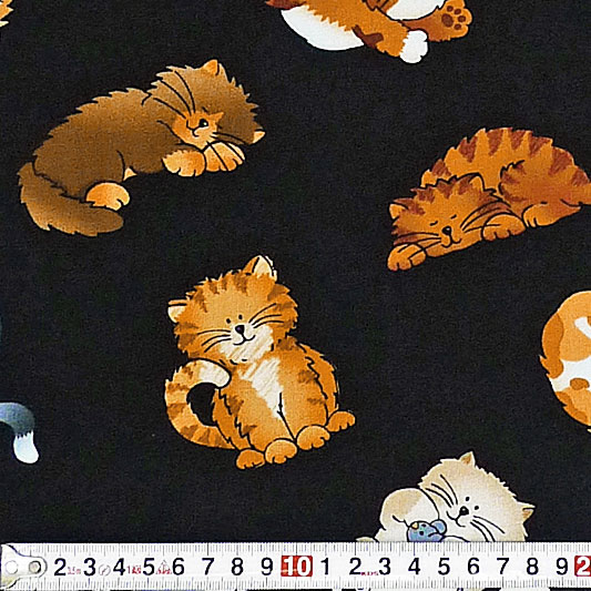 コミックのような猫 トス/ブラック