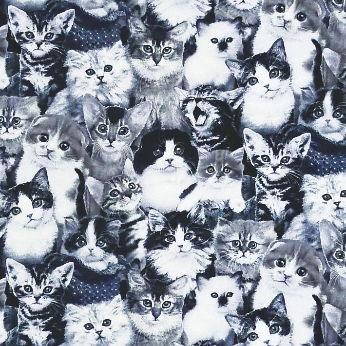 子猫たち オールオーバー/モノトーン