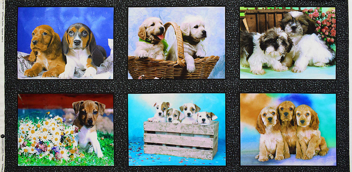 写真の様な子犬 デジタル・プリント/パネル 110*54