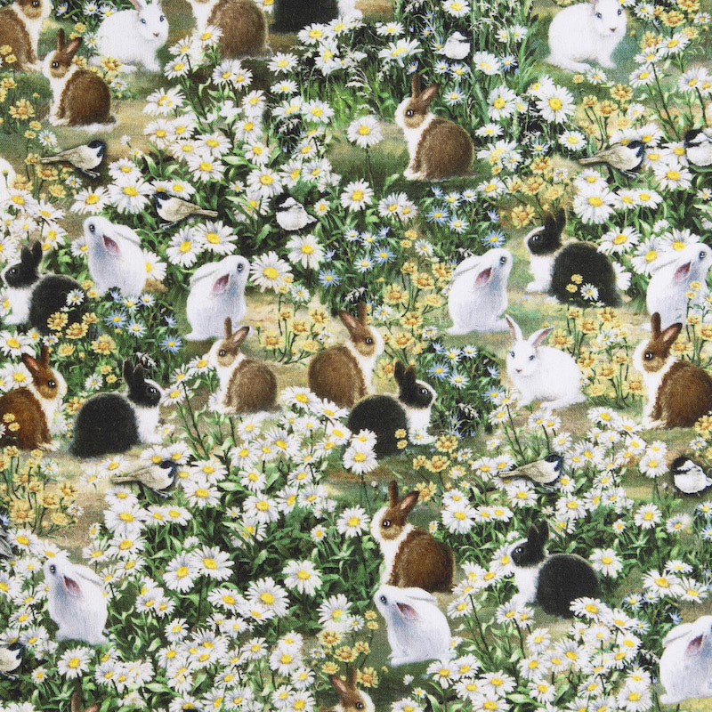 デイジーの花の中のウサギ達