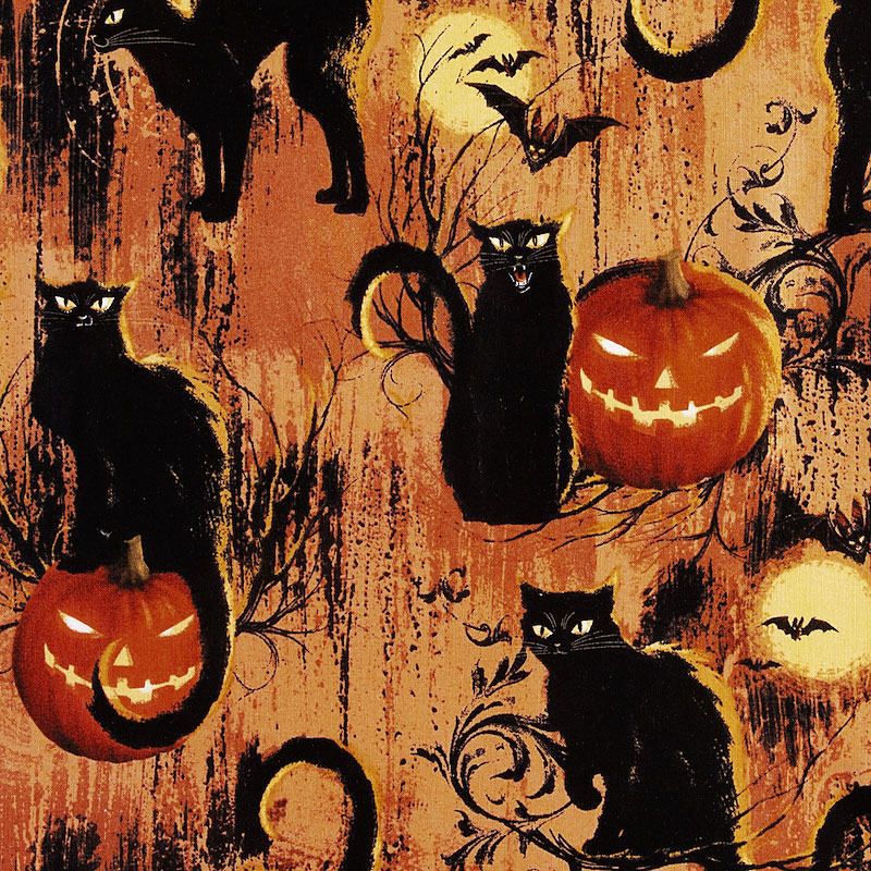 黒ネコ、カボチャ ハロウィン オレンジ